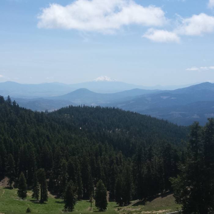 Near Bull Gap Trail #1017