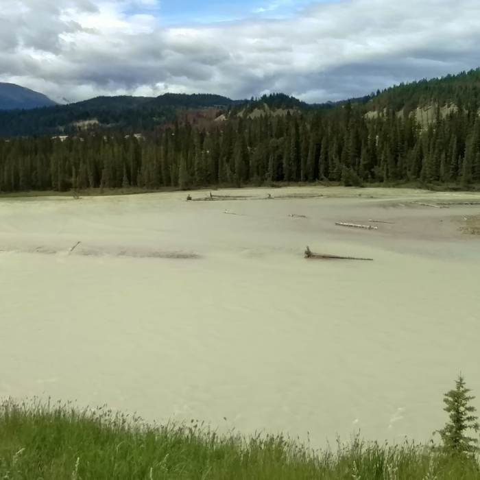 The broad and mighty Athabasca River, looking southwest from atop a knoll along the Athabasca River Trail. Near Athabasca River Trail