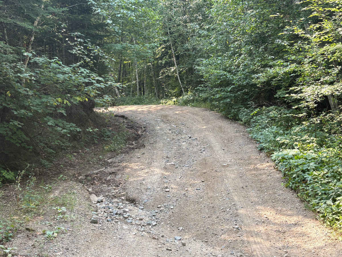 Forest Road 0402 trail photo