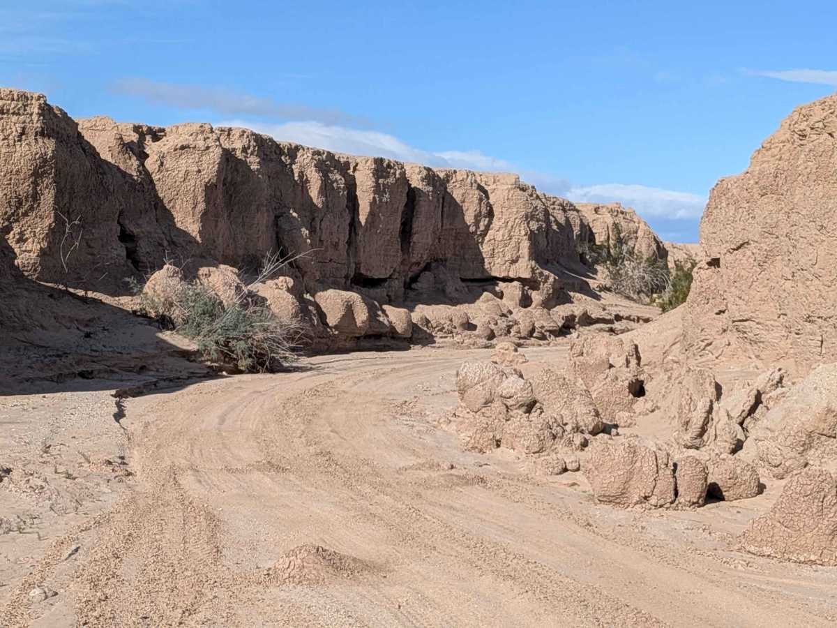 BLM 310 trail photo