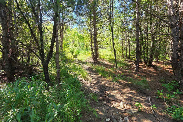 Single Track O