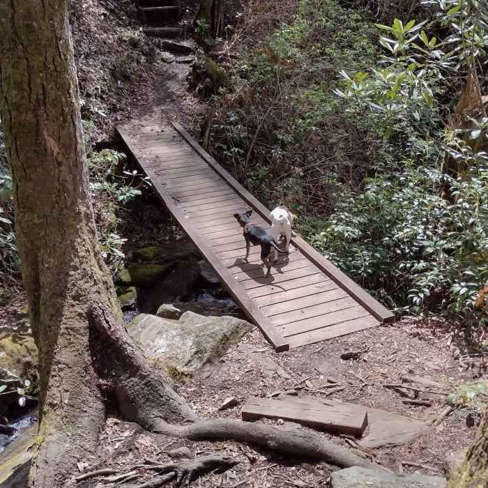 Near Foothills Trail