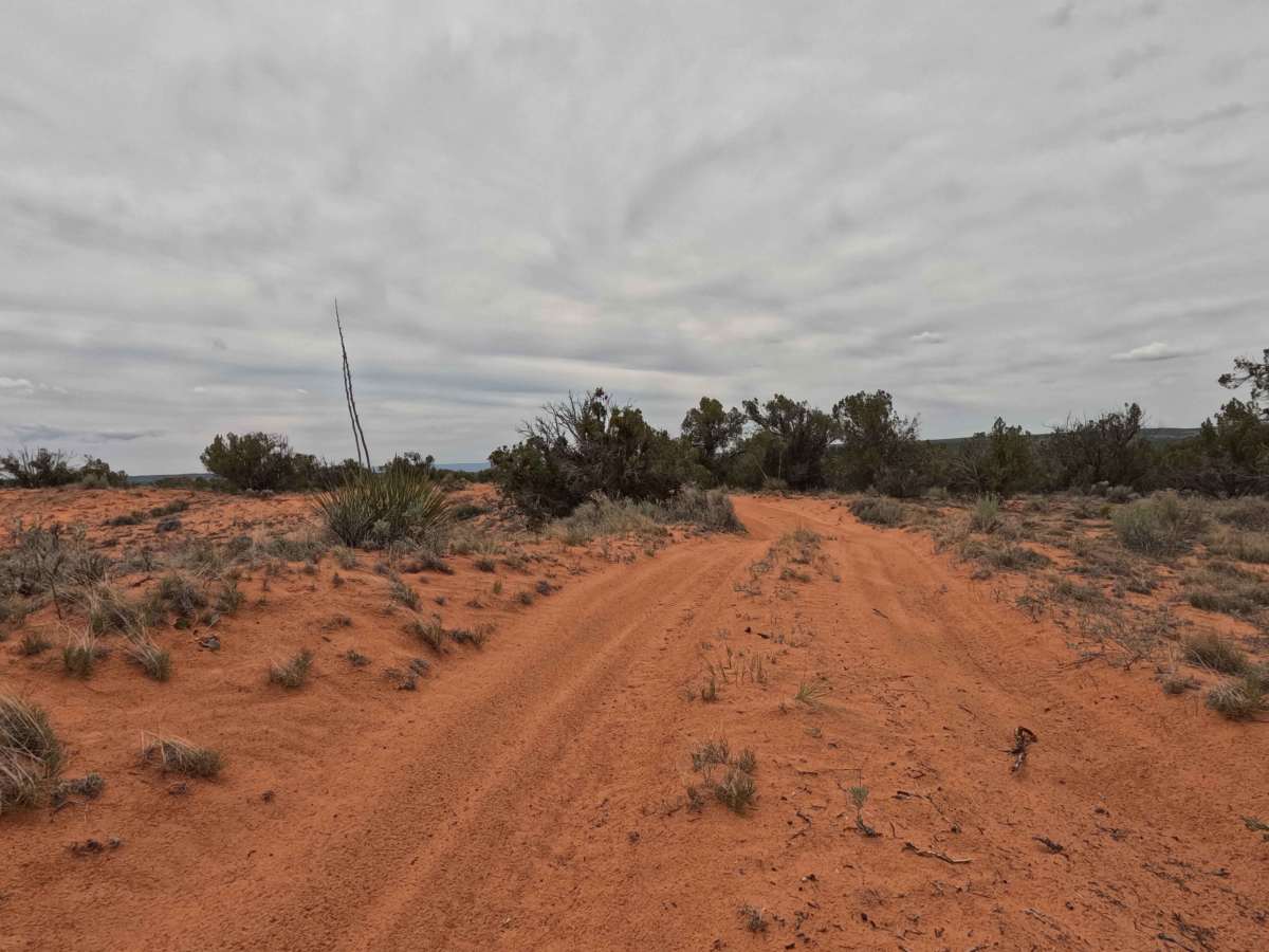 BLM 61E photo 3