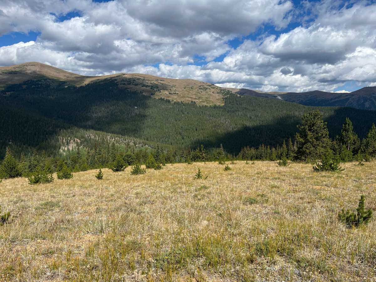 Pains Mountain Road photo 5