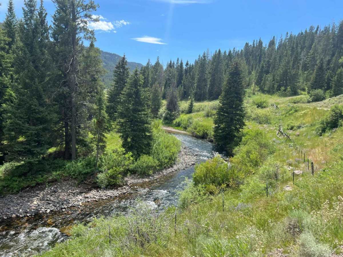 West Fork Madison (FS 209) photo 5