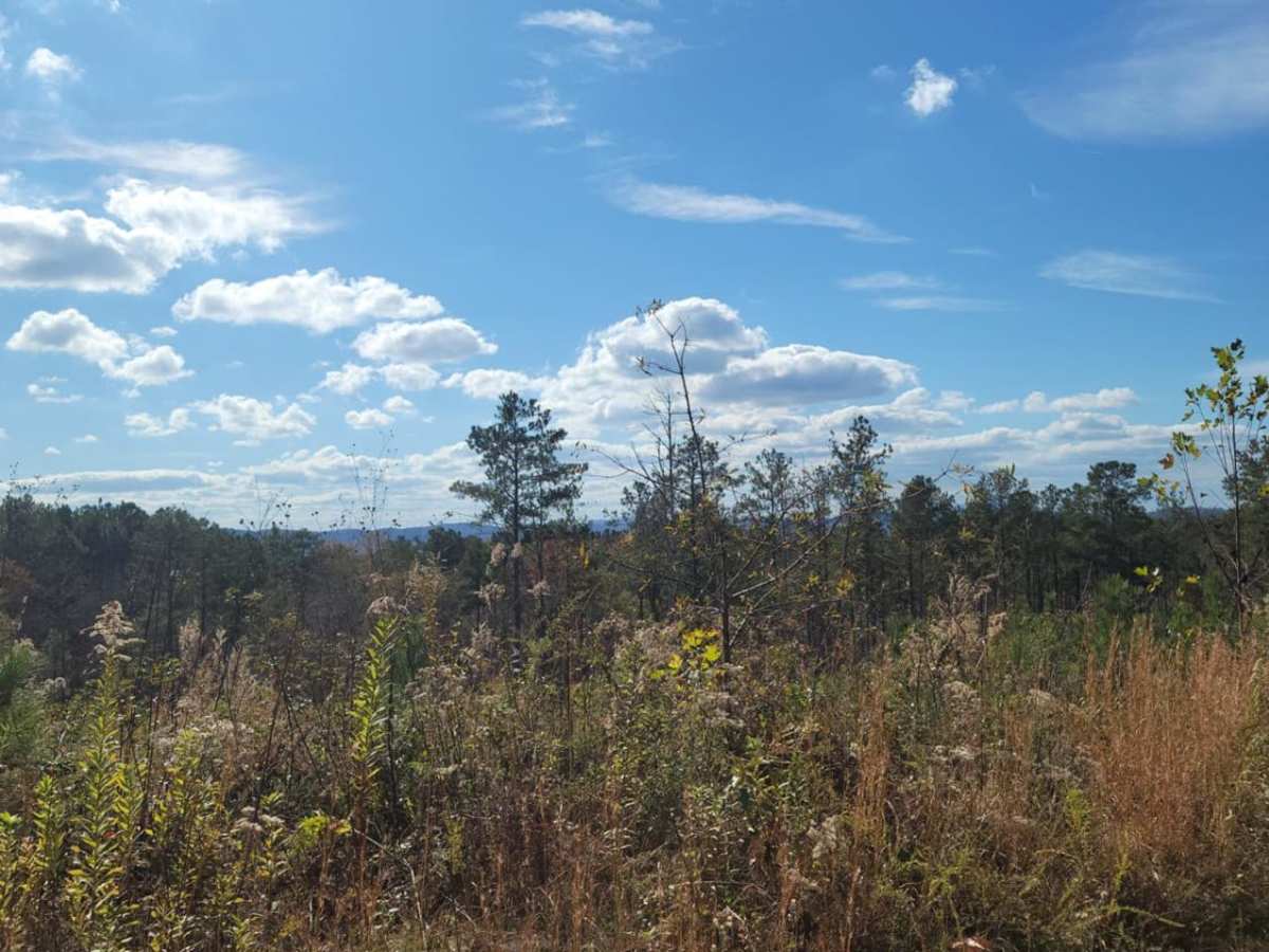 USFSR #523 trail photo