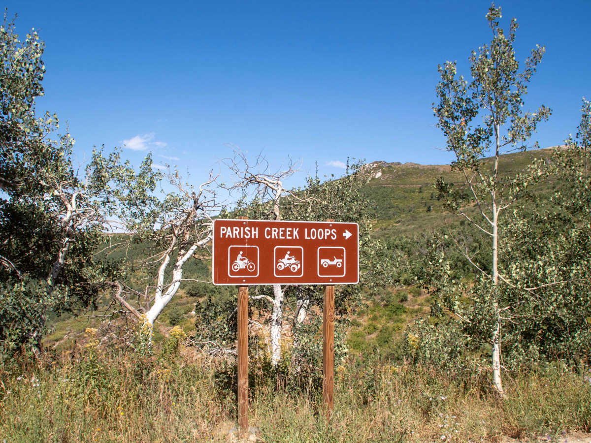 Parish Creek photo 5