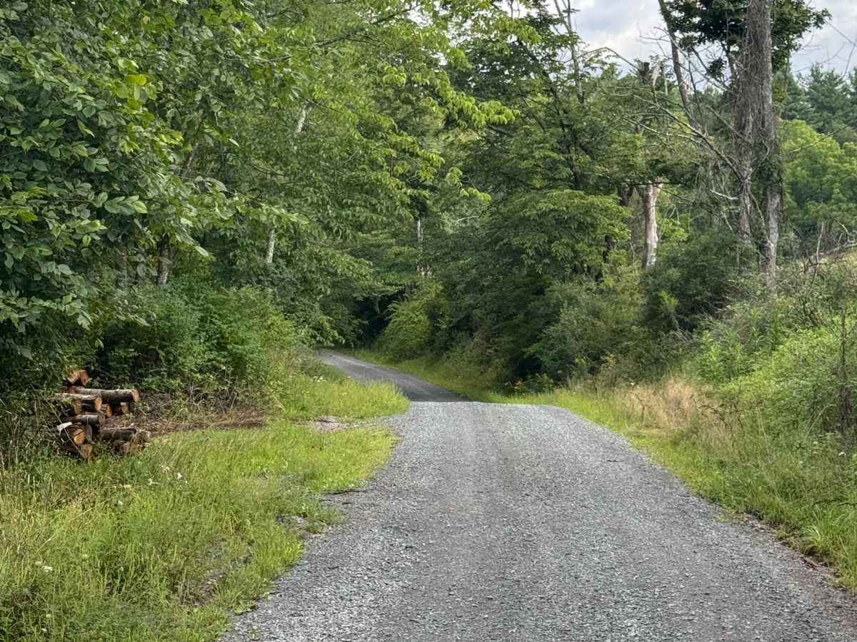 Cooper Road photo 6