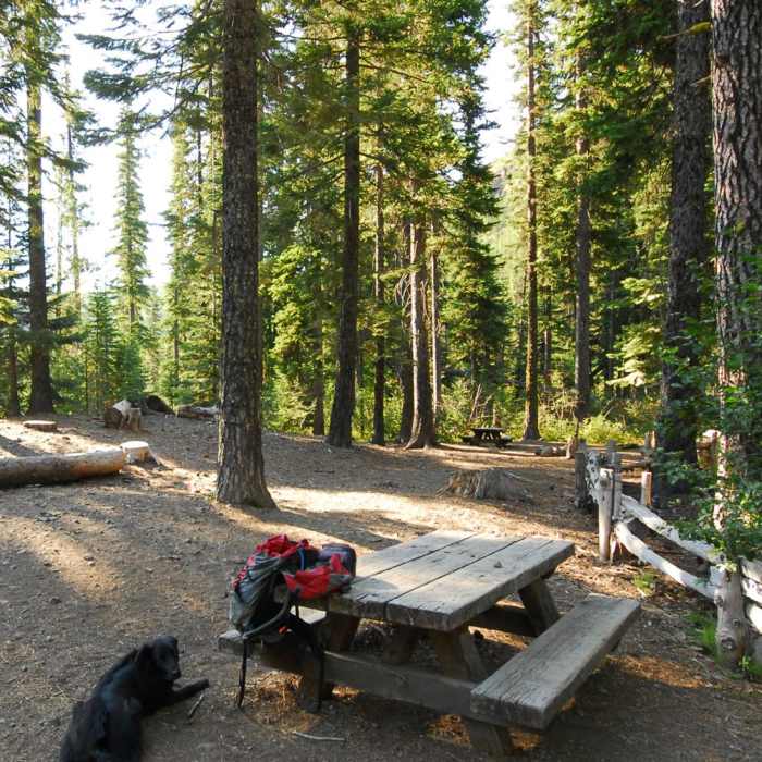 Near North Fork to Bridge Creek Loop