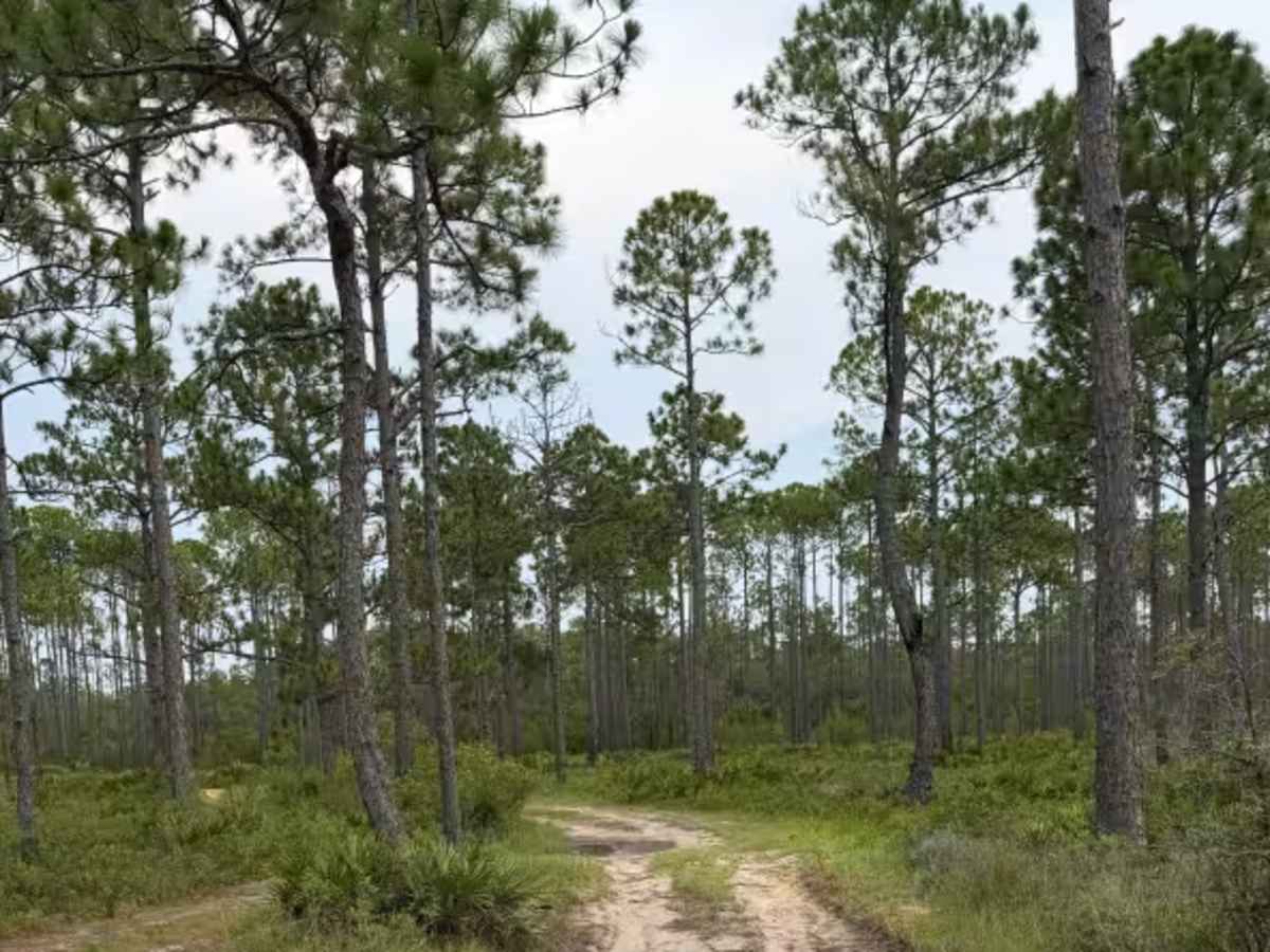 Muddy Crossings photo 2