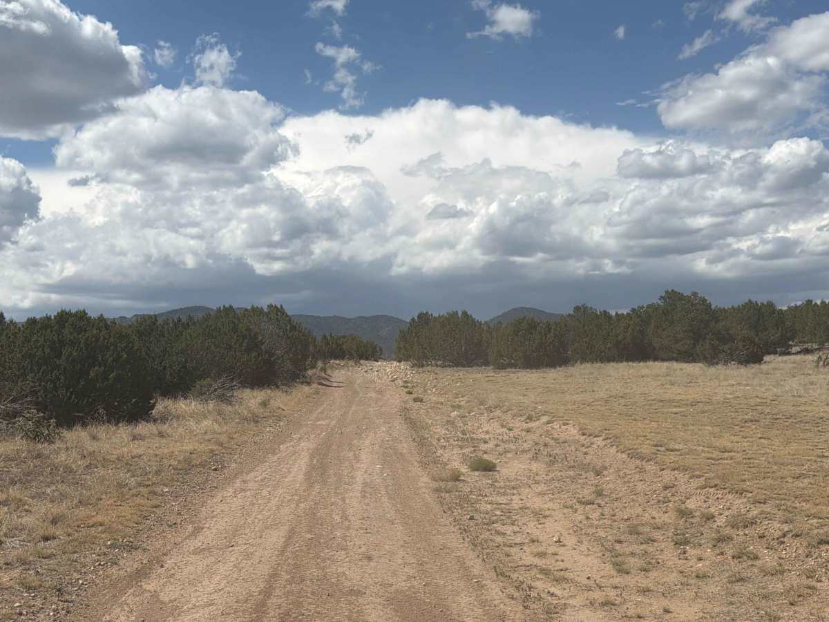 BLM 6101 photo 3