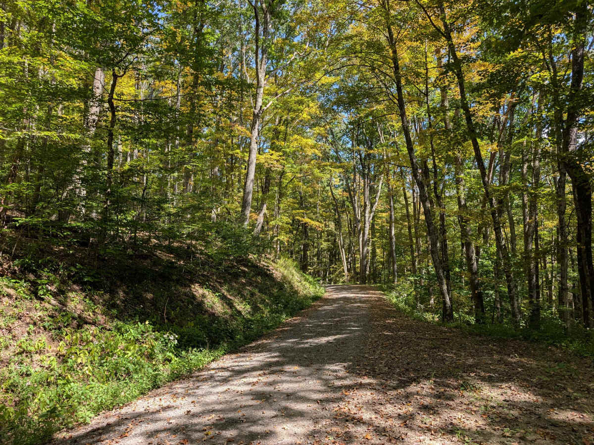 Owl Knob Hollow Connector photo 6