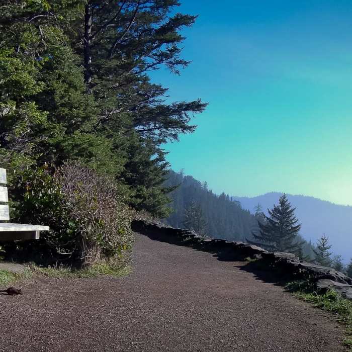 Near Saint Perpetua Trail