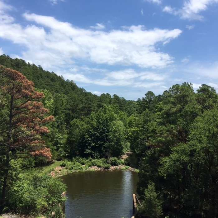 Overflow on the other side of the berm. Near Cedar Lake Trail