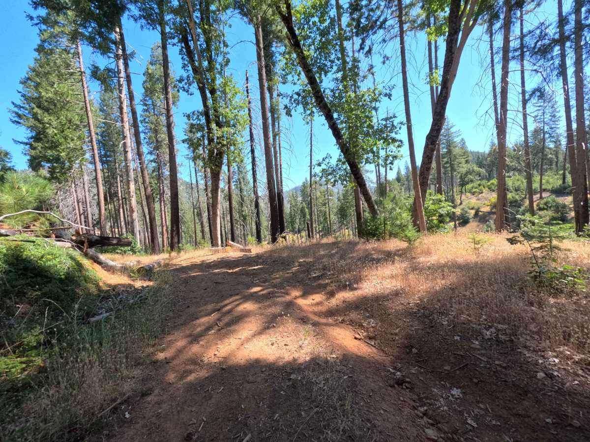 FS 1S75 trail photo