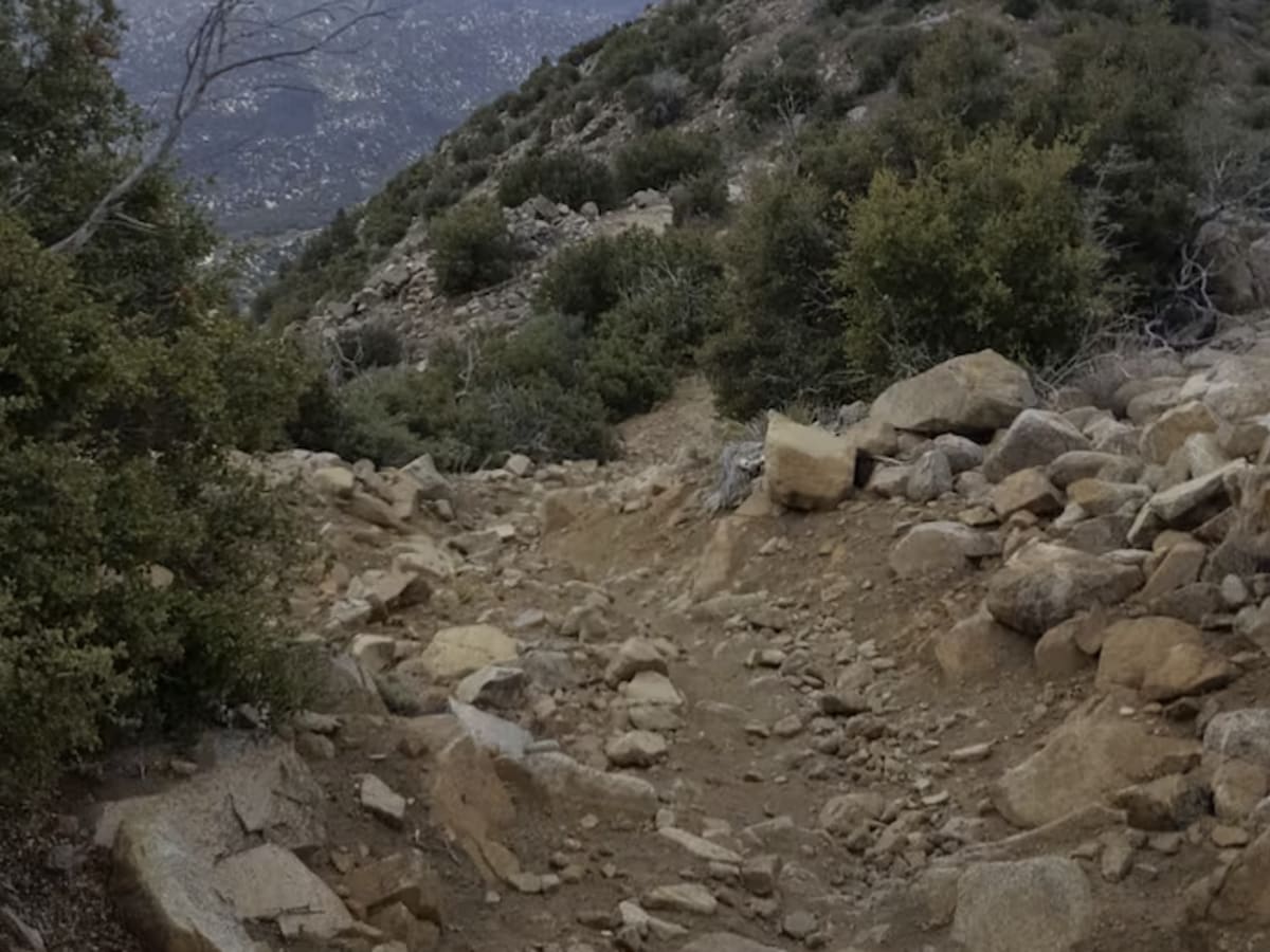 Redonda Ridge - FS 1W17 trail photo
