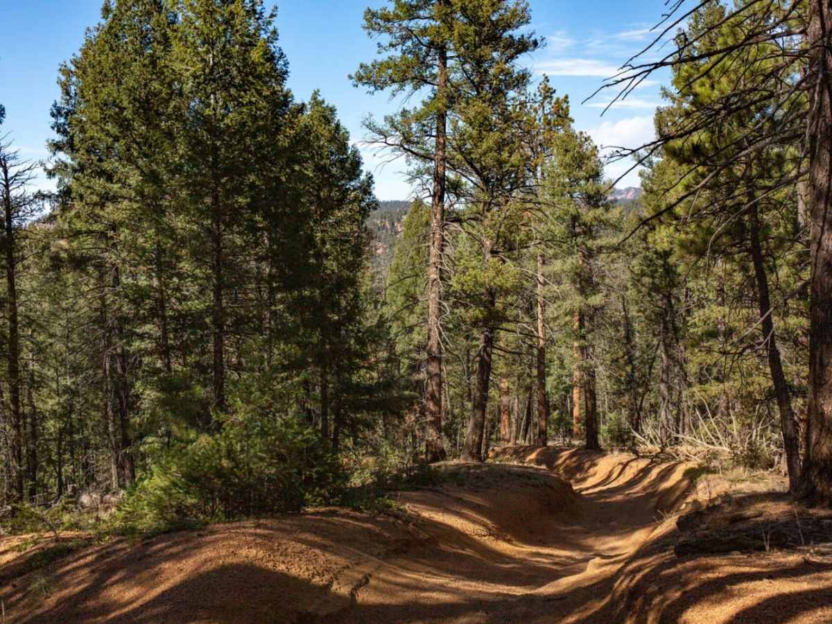 Long Hollow 50-inch Trail (FS 650) photo 3