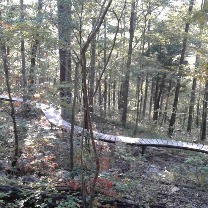 One of the mountain biking features Near Painter Ridge Trail - South Loop
