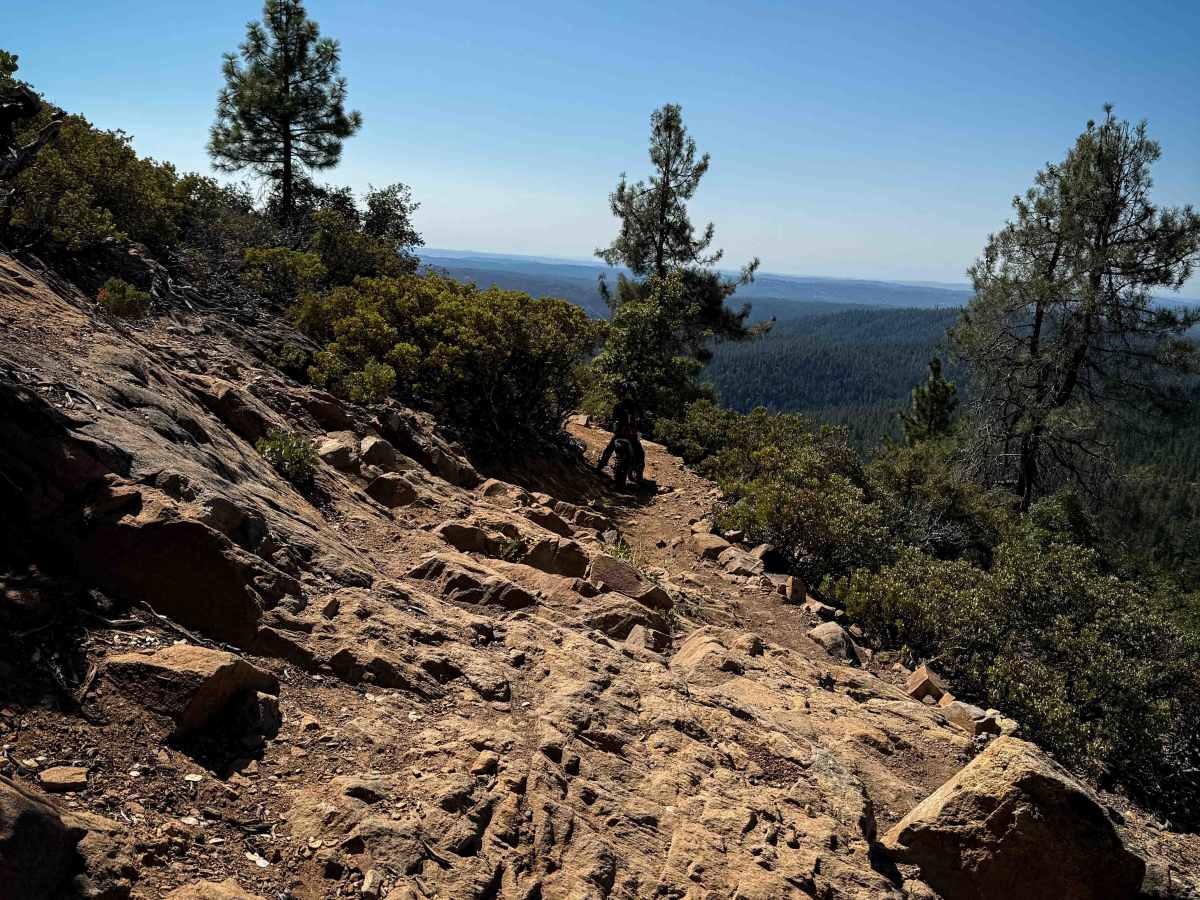 Trail 10 (11E44)  photo 4