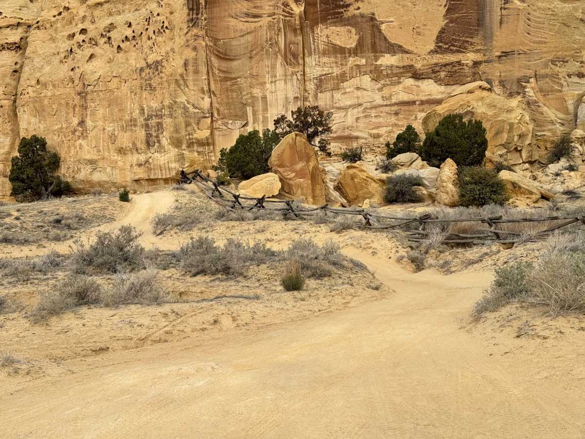 Locomotive Point photo 3