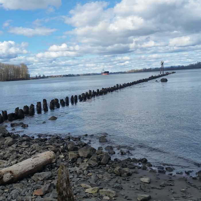 Kelly Point Park Near Kelly Point Park Trail