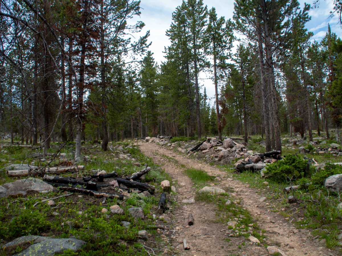 Spring Canyon 2 - FS 80944 photo 2