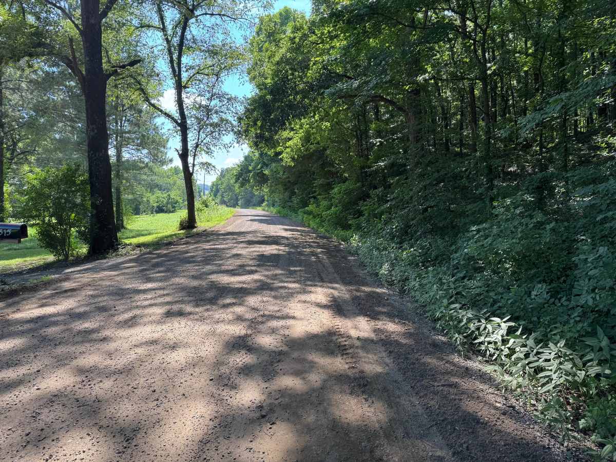 Silex Road photo 3