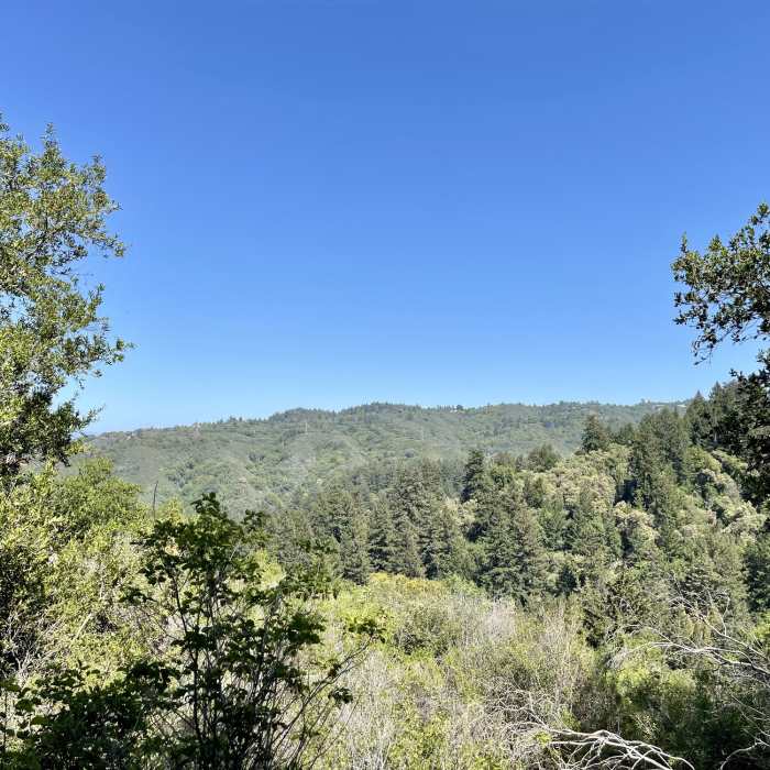 View from a bend in Sanborn Trail. The trail changes from a fire road to a hiking trail at this point. Near Sanborn Trail