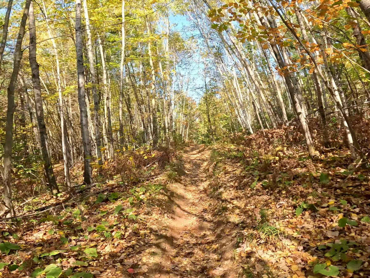 Tamarack Straight Arrow East Trail photo 5