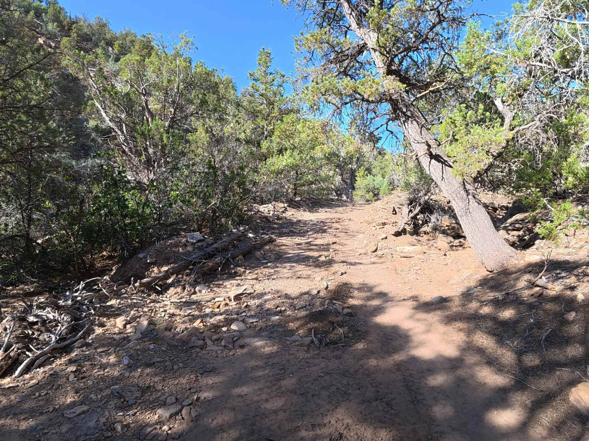 BLM 777 photo 3