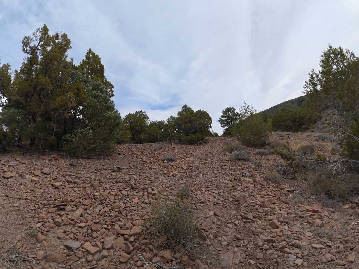 Masonic Disp 11 photo 6