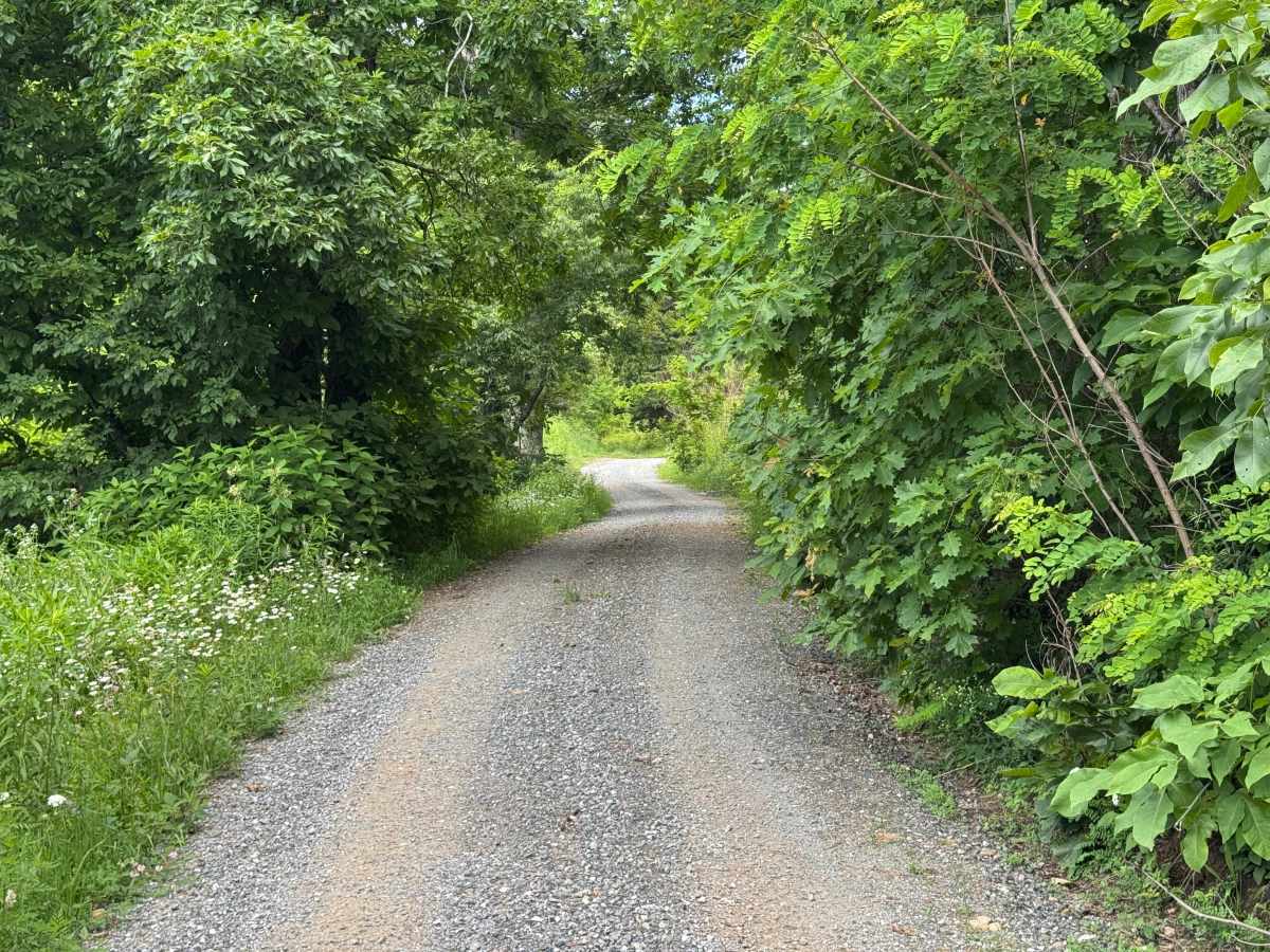 Sugar Creek Gap - FS 4665 trail photo