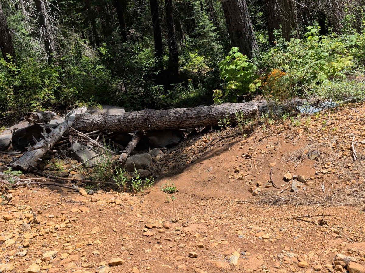 Colby - FS 39N93 trail photo
