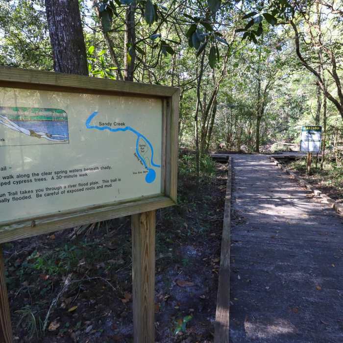 Near Spring Run Trail