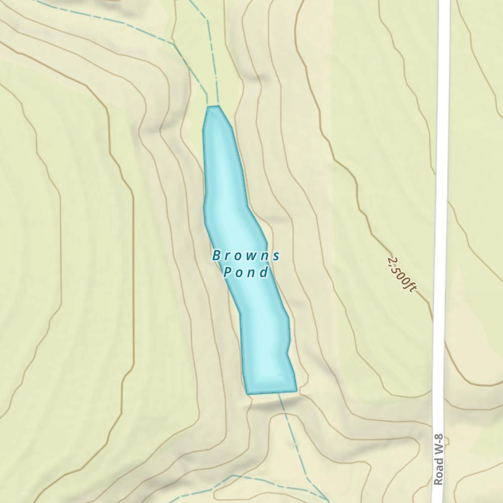 Browns Pond photo