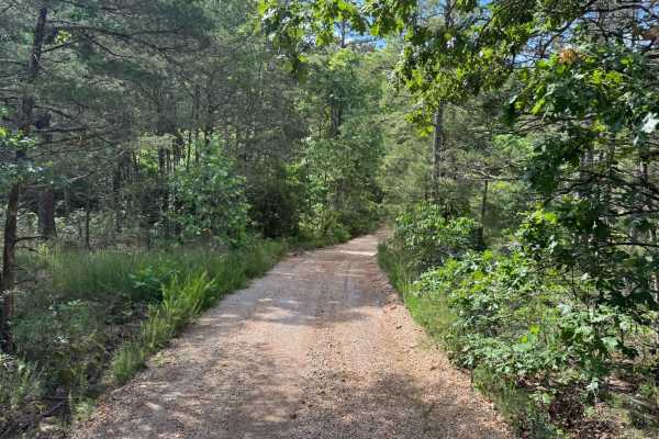 Forest Home Lane