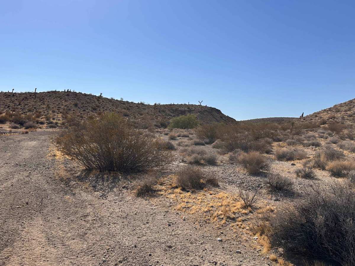 Rock Canyon Rip photo 4