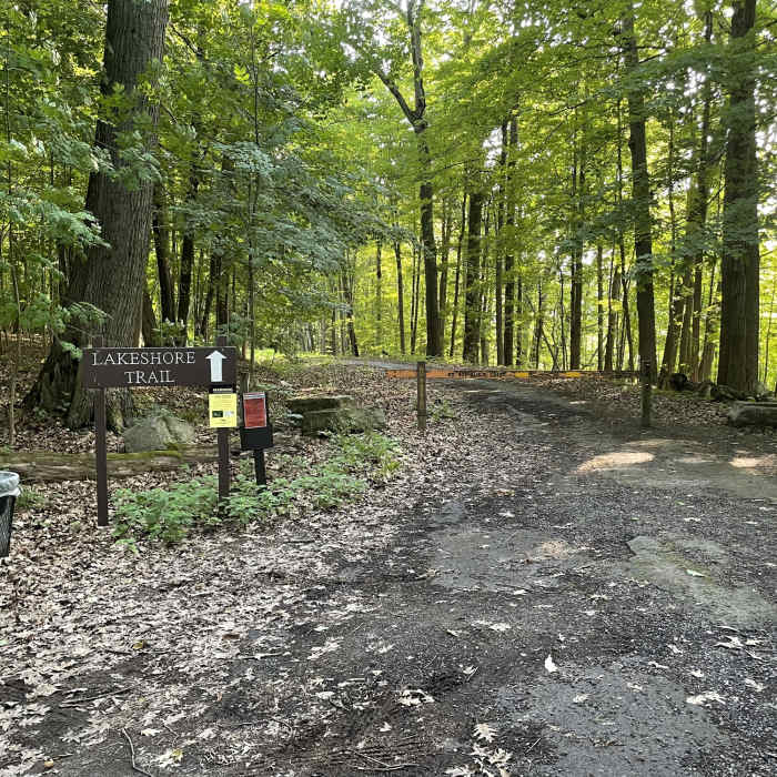 Trailhead Near Bluff Nature Trail
