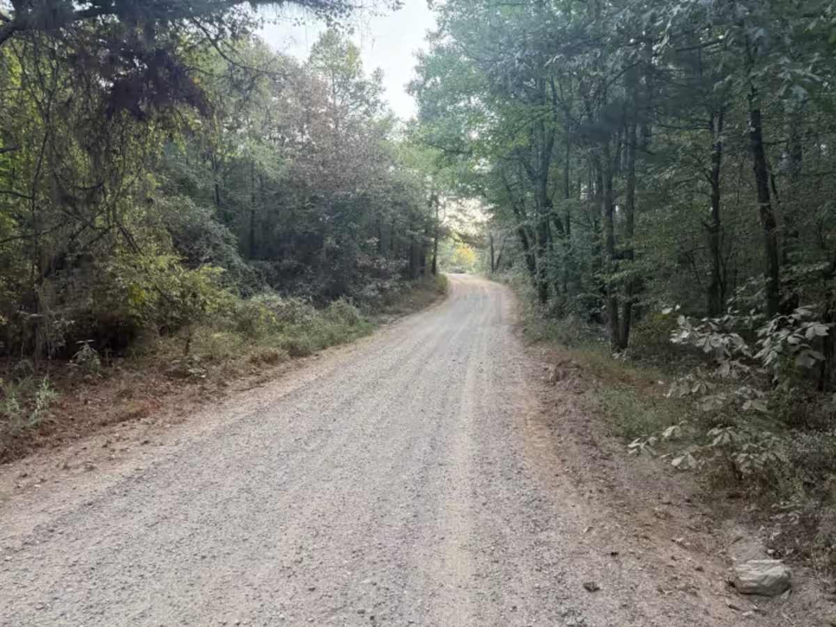 Polk Road 32 photo 4