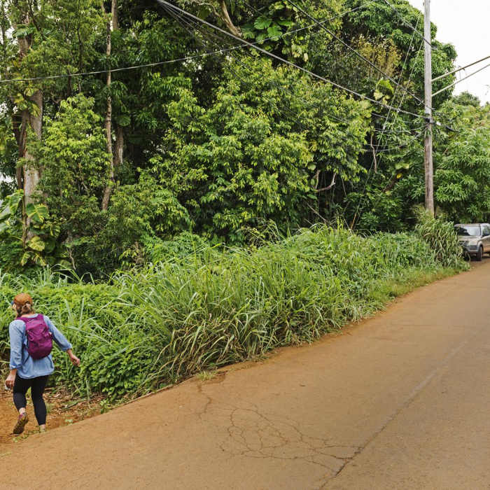 Near Ho'opi'i Falls Trail