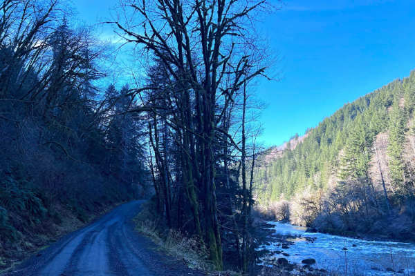 Lower Nehalem Road Beach Route