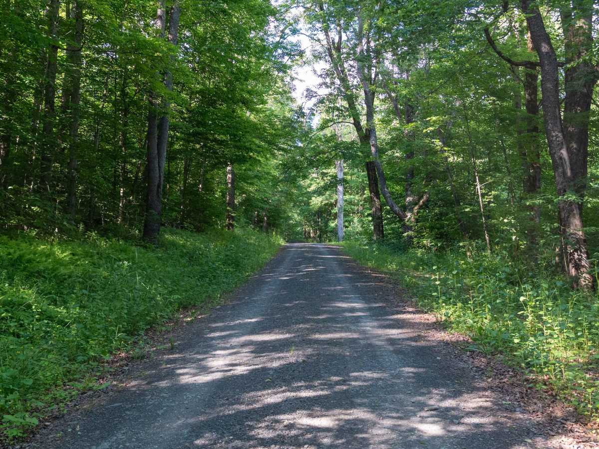 Truck Trail 4 photo 3