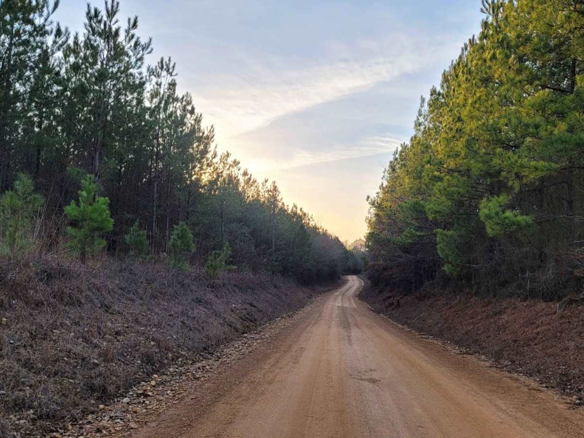 Country Route to White Oak Lake Group Campsite trail photo