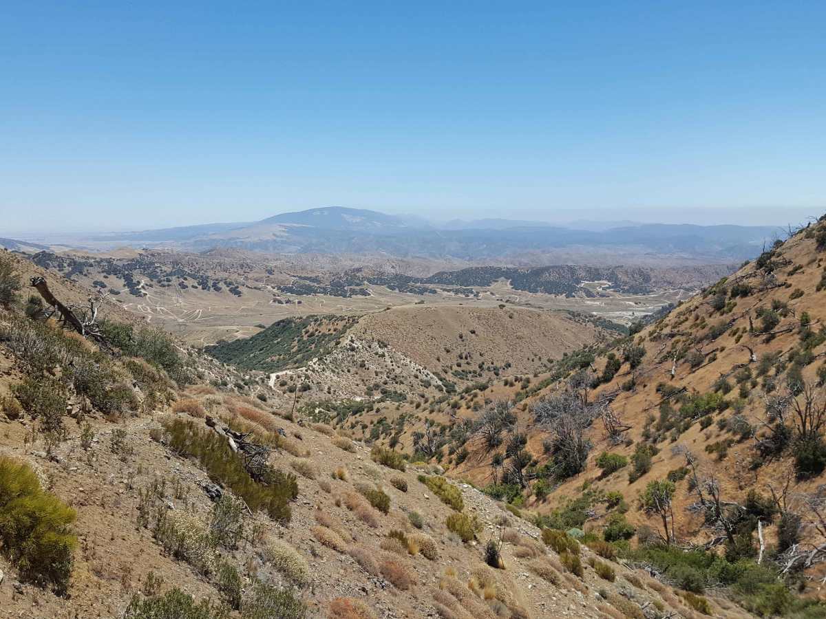 East Frazier Trail - FS 19W06 photo 6