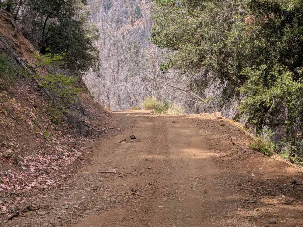 Jud Creek Road - FS 3N07  photo 6