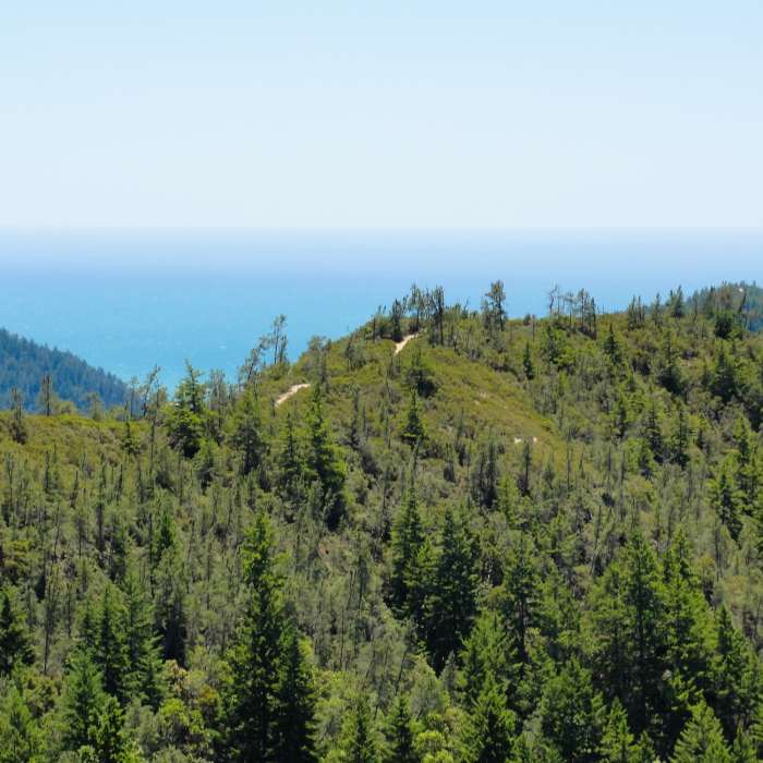Near McCrary Ridge Trail