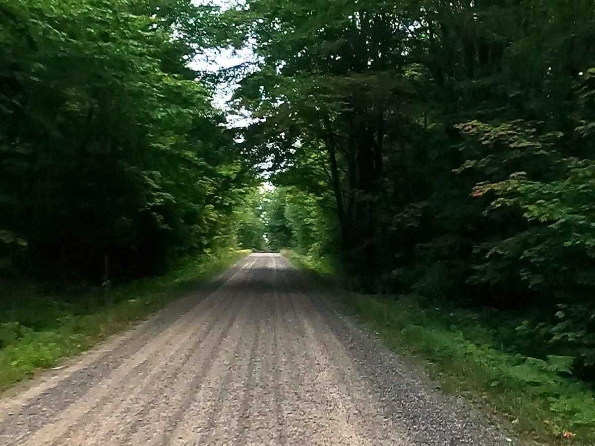 Rexford Road - FS 3157 photo 4