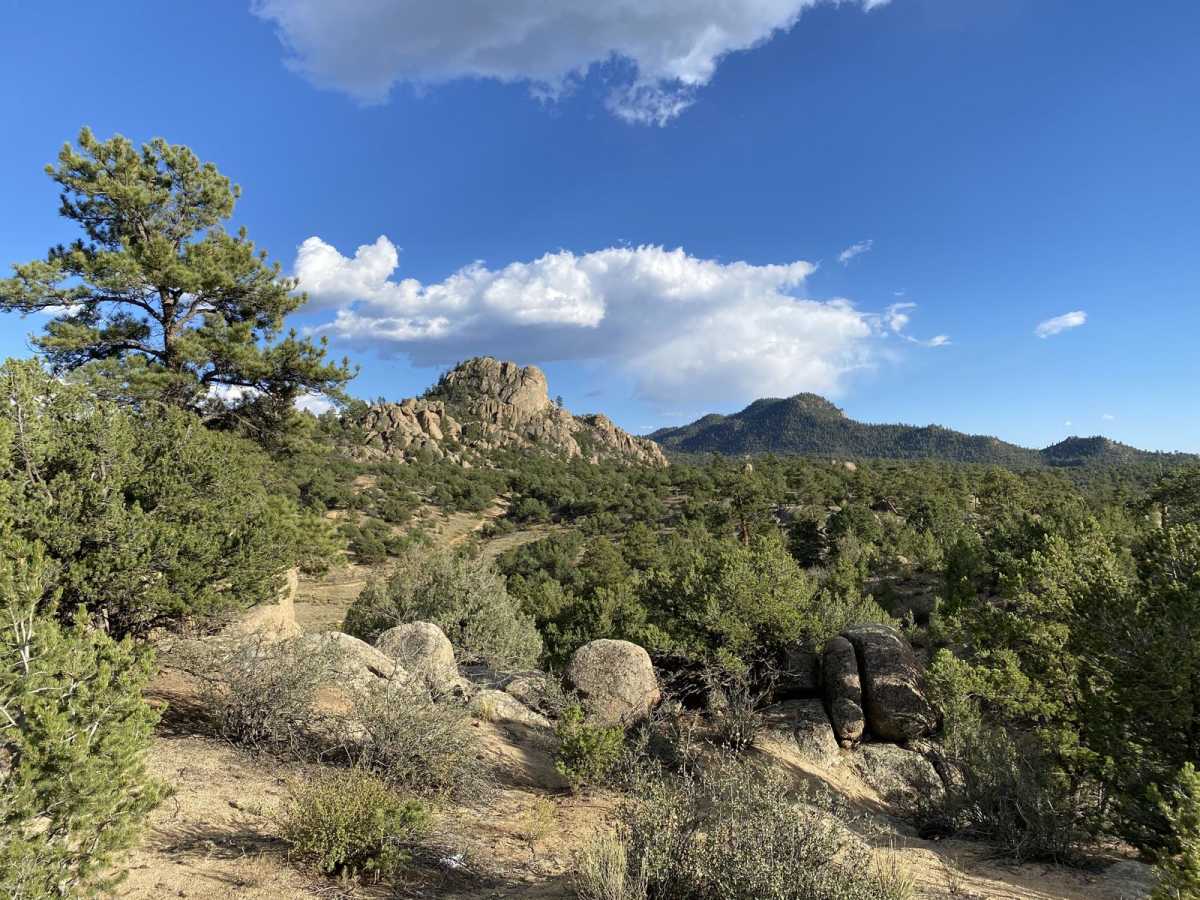 BLM 376 photo 4