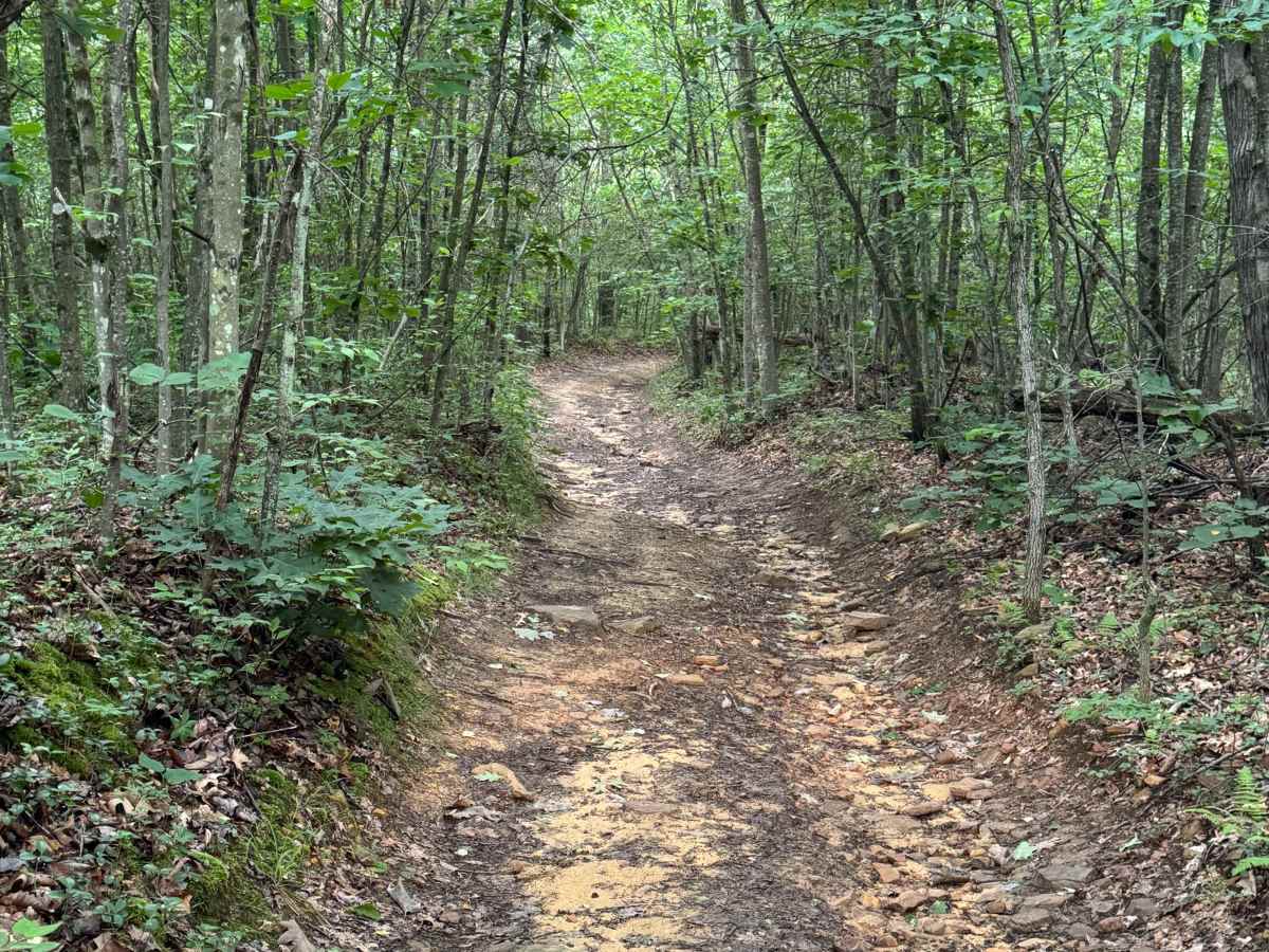 Trail 12 photo 5