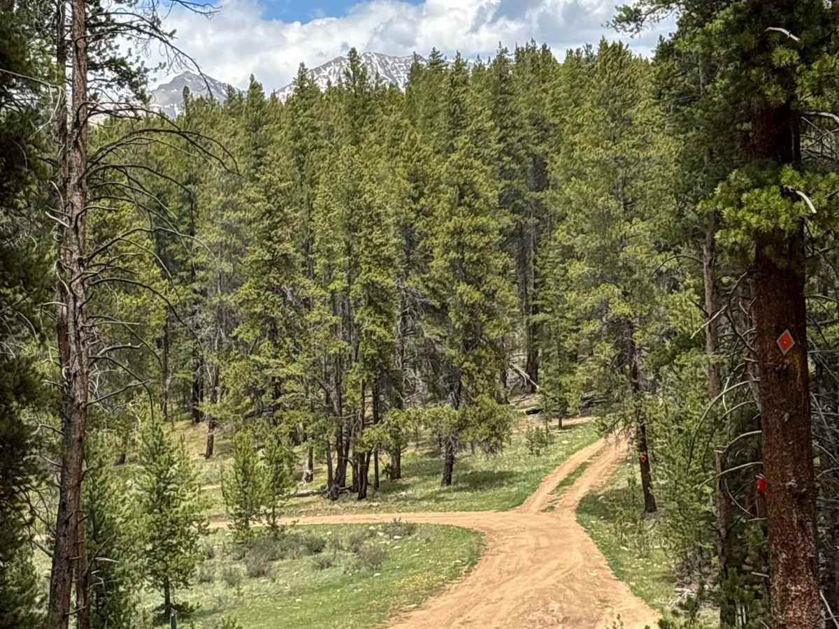 Upper Bull Road photo 3